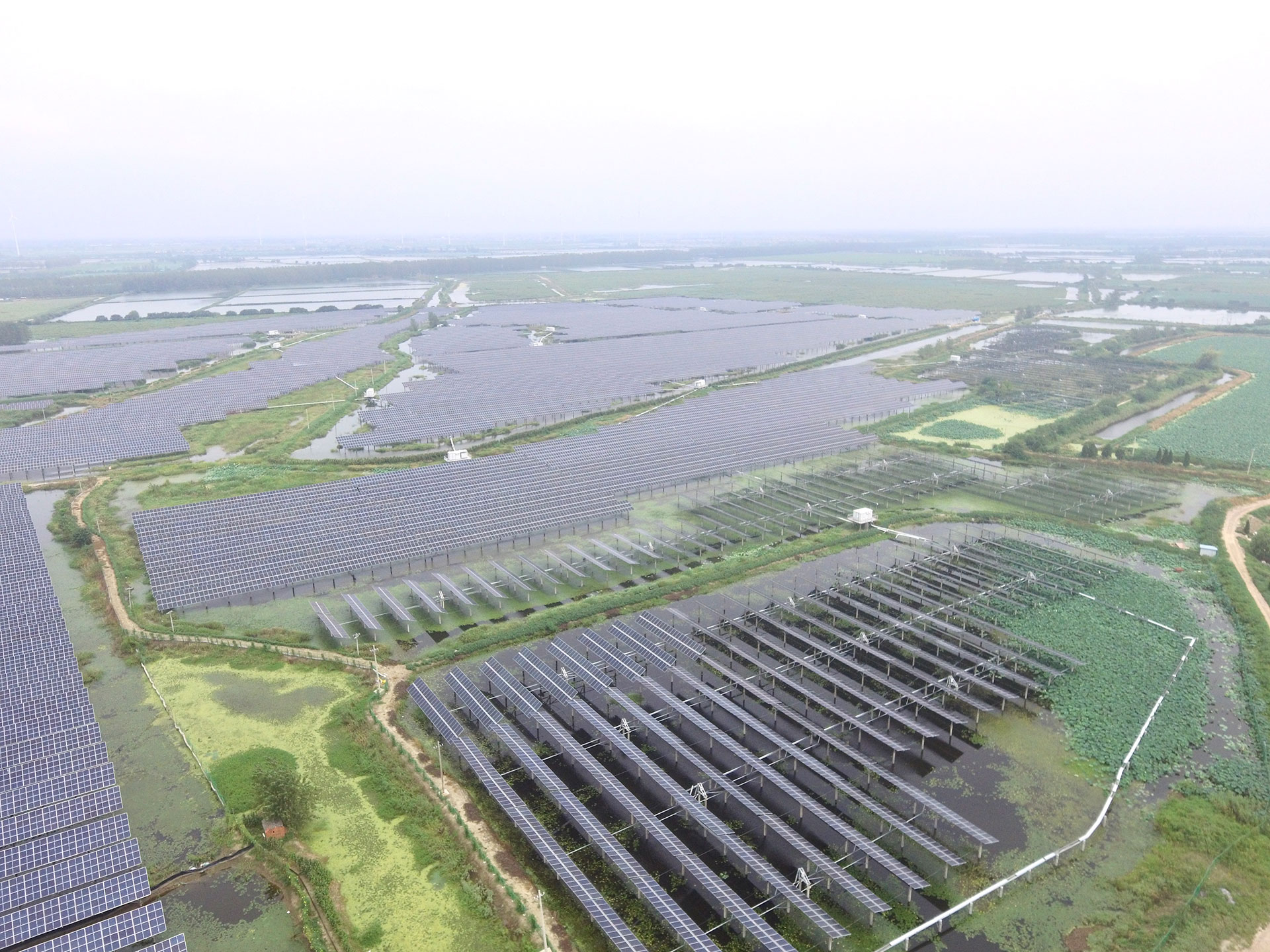 888贵宾厅科技江苏扬州宝应光伏发电应用领跑基地2号100兆瓦项目